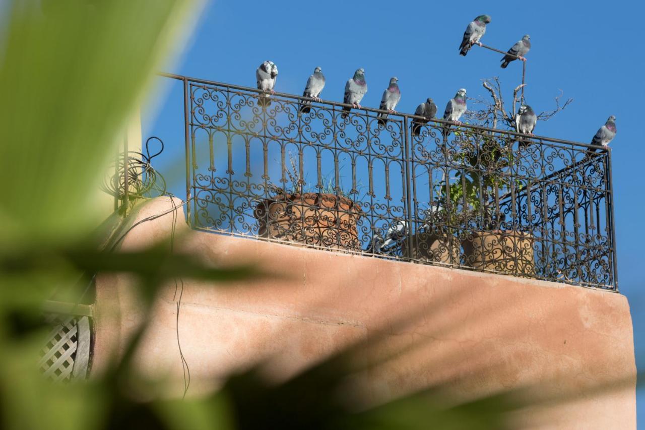 Riad El Maktoub Marrákes Kültér fotó